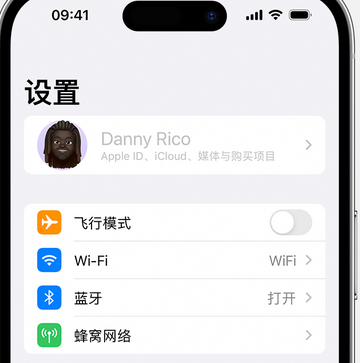 名山appleID维修服务iPhone设置中Apple ID显示为灰色无法使用