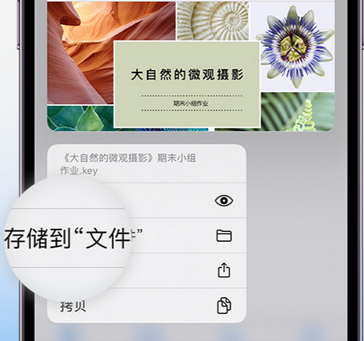 名山apple维修中心分享iPhone文件应用中存储和找到下载文件