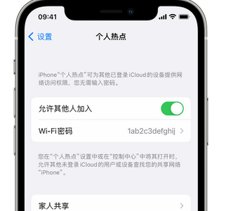 名山apple服务站点分享iPhone上个人热点丢失了怎么办