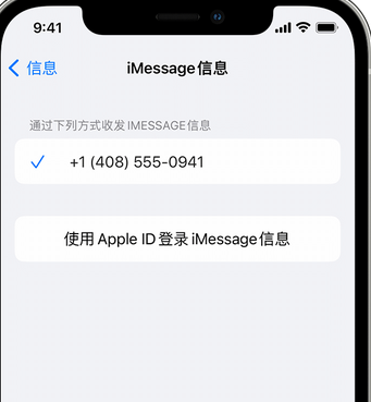 名山apple维修iPhone上无法正常发送iMessage信息