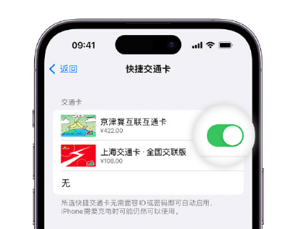 名山apple维修点分享iPhone上更换Apple Pay快捷交通卡手绘卡面 