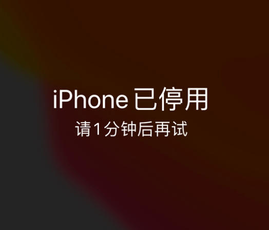 名山苹果手机维修分享:iPhone 显示“不可用”或“已停用”怎么办？还能保留数据吗？ 