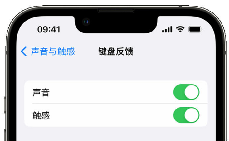 名山苹果手机维修分享iPhone 14触感键盘使用方法 