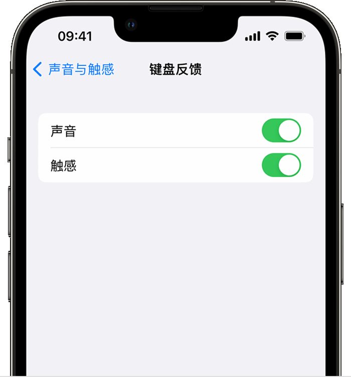 名山苹果14维修店分享如何在 iPhone 14 机型中使用触感键盘 