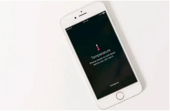 名山苹果手机维修分享iPhone 手机发热如何快速降温 