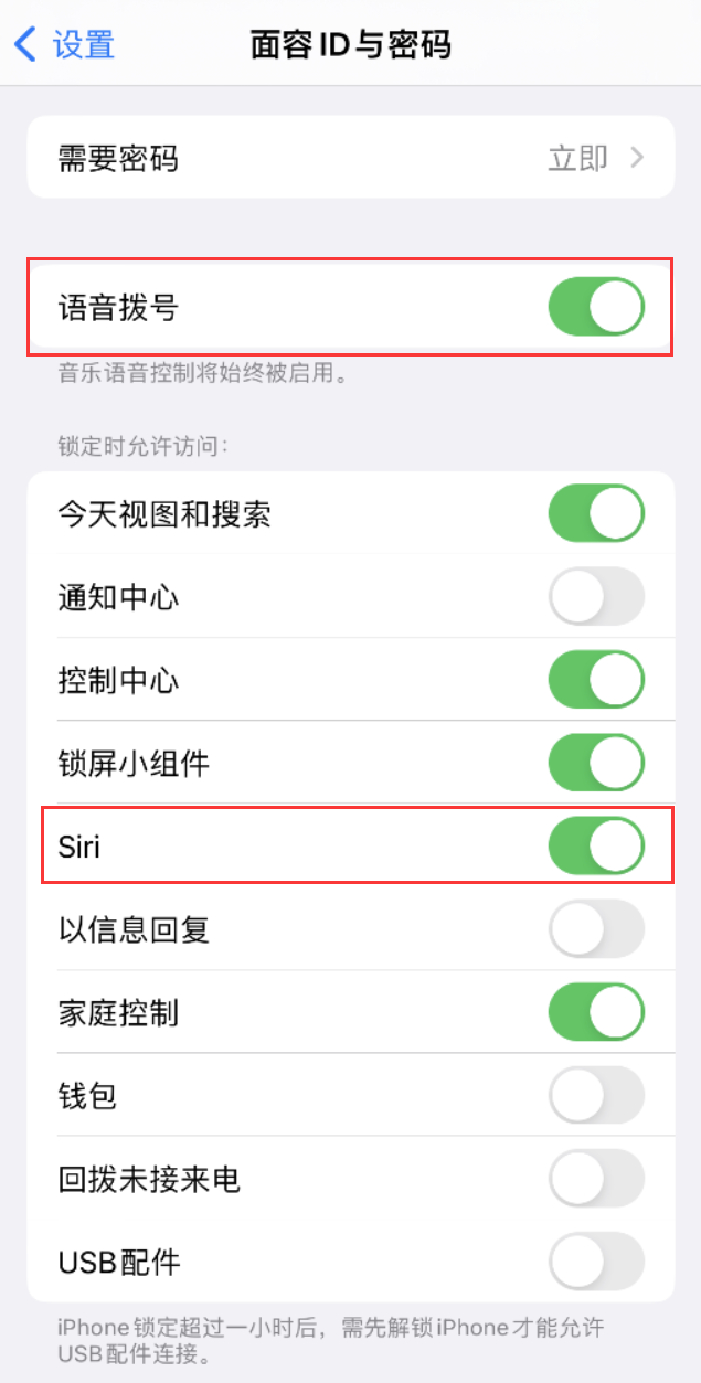 名山苹果维修网点分享不解锁 iPhone 的情况下通过 Siri 拨打电话的方法 