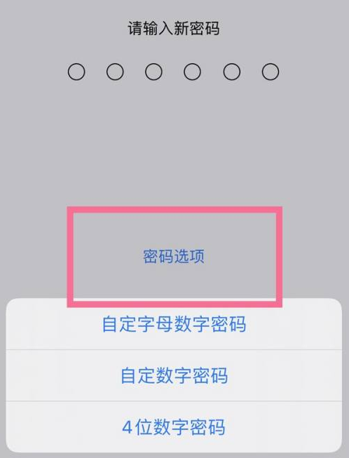 名山苹果14维修分享iPhone 14plus设置密码的方法 