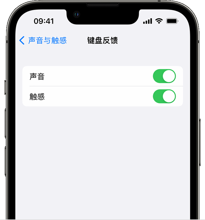 名山苹果14维修分享iPhone 14 系列机型如何开启键盘声音或触感反馈 