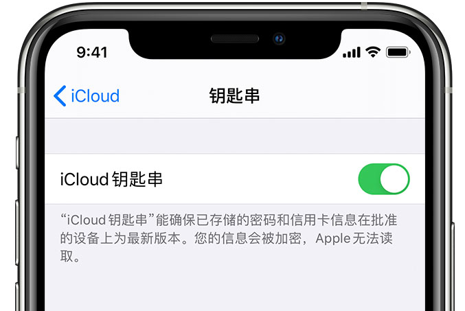 名山苹果手机维修分享在 iPhone 上开启 iCloud 钥匙串之后会储存哪些信息 