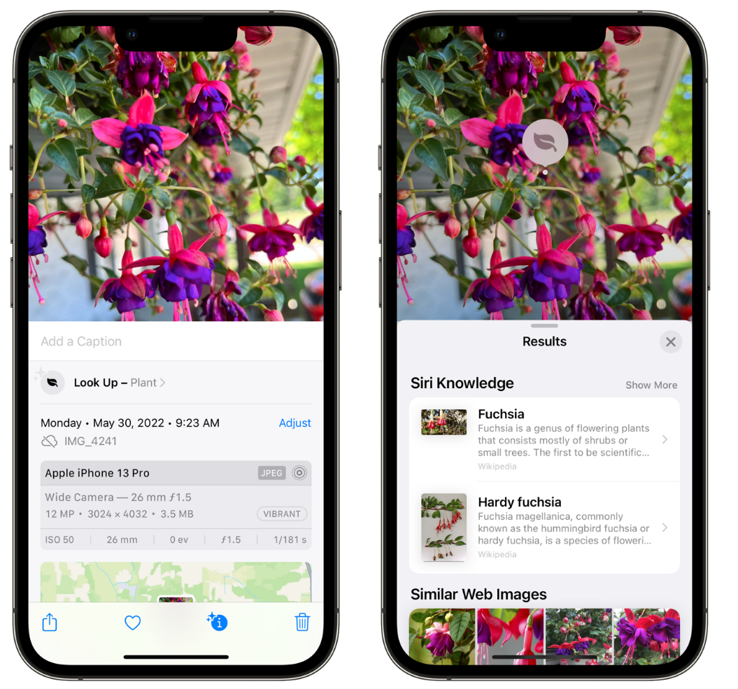 名山苹果手机维修分享小技巧：使用 iPhone 相机识别花卉植物 