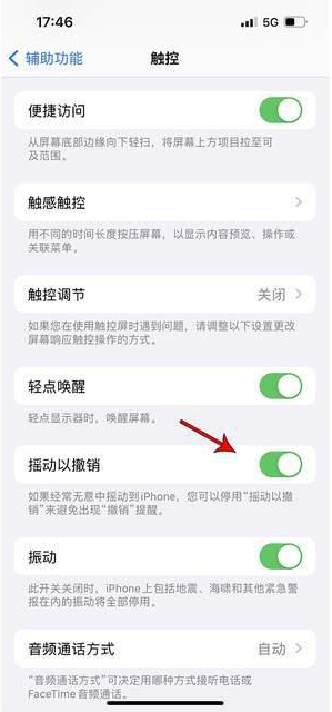 名山苹果手机维修分享iPhone手机如何设置摇一摇删除文字 