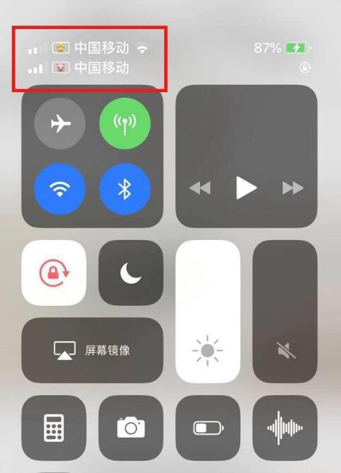名山苹果手机维修分享为 iPhone 12 双卡设置标签 